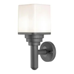 Уличный настенный светильник Lussole LSP-8956