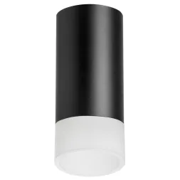 Накладной светильник Lightstar Rullo R43731 (214437+202431)