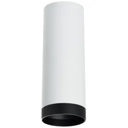 Накладной светильник Lightstar Rullo R4863437 (214486+203437)