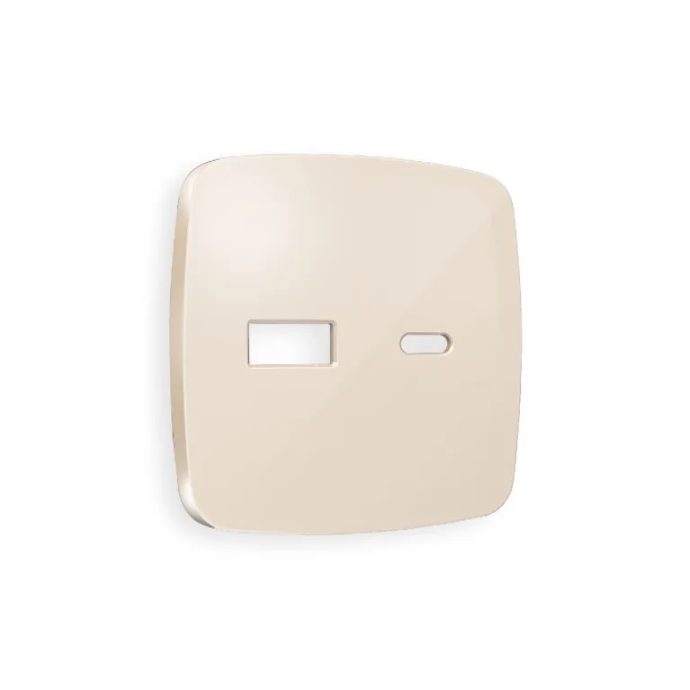 Лицевая панель для розетки 2USB тип A+C Ambrella Volt Omega OP3110