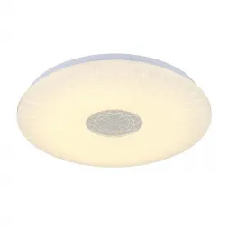 Потолочный светодиодный светильник Omnilux Bonassai OML-48807-48