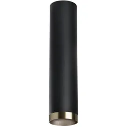 Накладной светильник Lightstar Rullo R497431 (214497+203431)