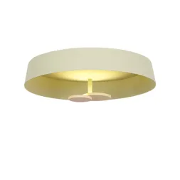 Потолочный светильник DeLight Collection MX19001031-1A yellow