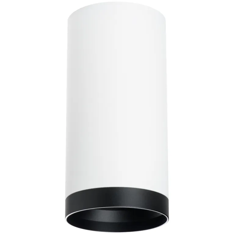 Накладной светильник Lightstar Rullo R64863487 (216486+203487)