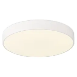 Потолочный светильник Simple Story 1204-LED12CL