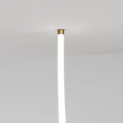 Крепления для гибкого неона Elektrostandard Full light FL 2820 латунь 4690389195983 a063436