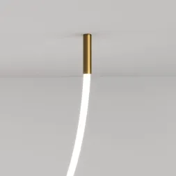 Крепления для гибкого неона Elektrostandard Full light FL 28120 латунь 4690389195914 a063434