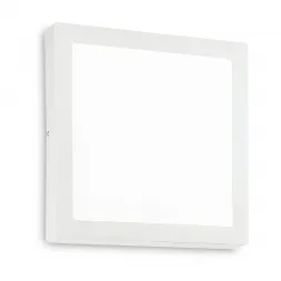 Настенно-потолочный светодиодный светильник Ideal Lux Universal D40 Square