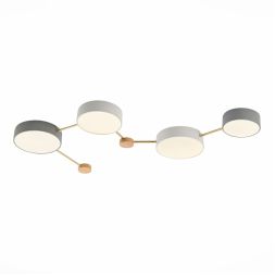Потолочный светильник Evoluce Dossena SLE600102-04