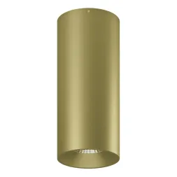 Потолочный светодиодный светильник Lumker VL-Base-GD2-WW 004828