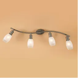 Спот Citilux Мери CL524541