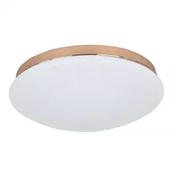 Потолочный светодиодный светильник F-Promo Ledante 2465-2C