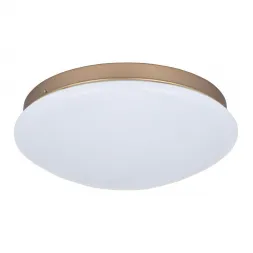 Потолочный светодиодный светильник F-Promo Ledante 2466-2C