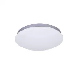 Потолочный светодиодный светильник F-Promo Ledante 2467-2C