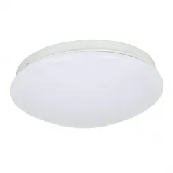 Потолочный светодиодный светильник F-Promo Ledante 2469-2C