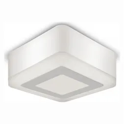 Потолочный светодиодный светильник Gauss Backlight BL220