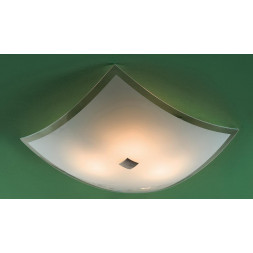 Потолочный светильник Citilux Лайн CL931021