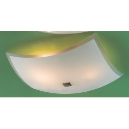 Потолочный светильник Citilux Лайн CL932021