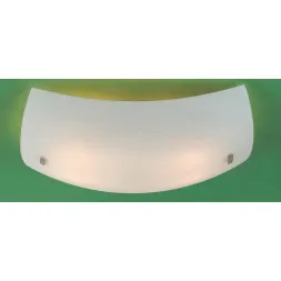 Потолочный светильник Citilux Белый CL934011