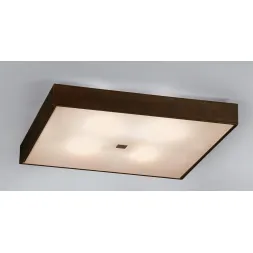 Потолочный светильник Citilux Кваттро CL940411