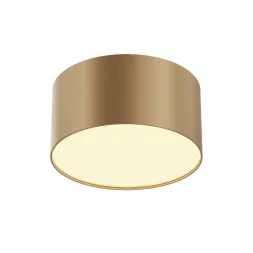 Накладной светильник Maytoni Zon C032CL-12W2.7K-RD-MG