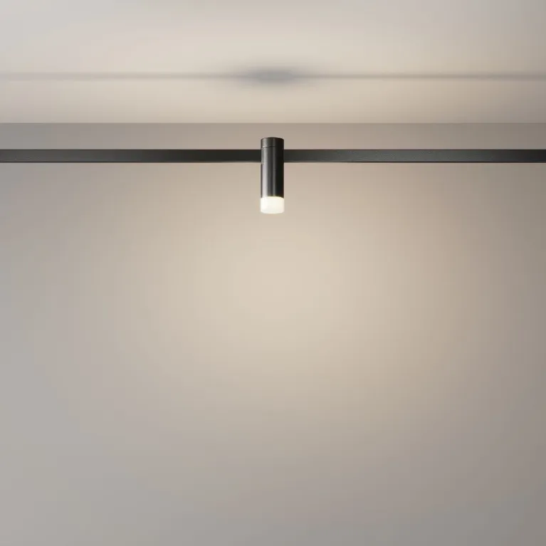 Трековый магнитный светильник Maytoni Skim TR145-1-3W4K-W-B