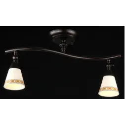 Спот Maytoni Spot 1 ECO001-02-R