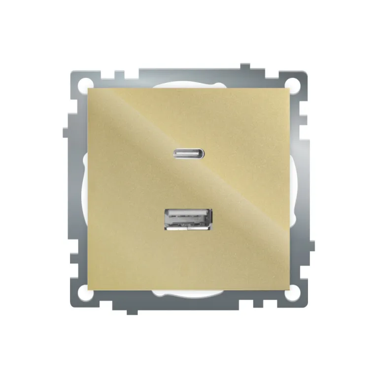 Розетка 2-местная USB + type C Stekker Катрин GLS10-7116-08 50053