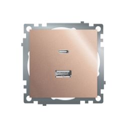 Розетка 2-местная USB + type C Stekker Катрин GLS10-7116-02 50056