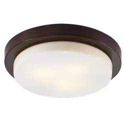Потолочный светильник Odeon Light Holger 2744/3C