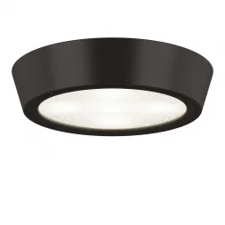 Потолочный светодиодный светильник Lightstar Urbano 214972