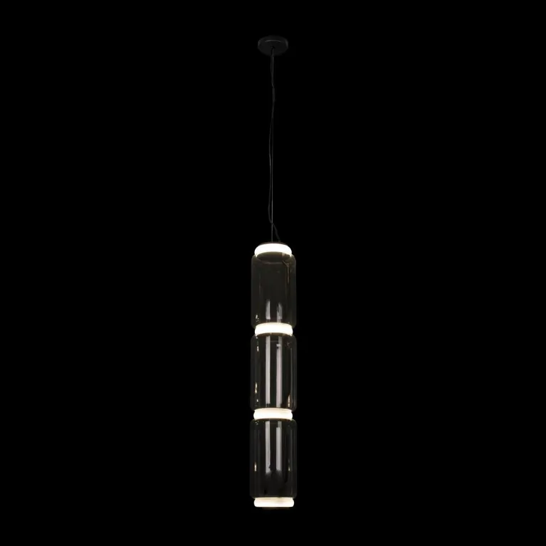 Подвесной светодиодный светильник Loft IT Noctambule 10194/L