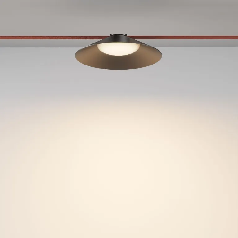 Трековый светильник Maytoni Campana TR127B-12W3K-B