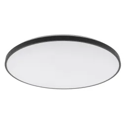 Потолочный cветильник Nowodvorski Agnes Round Led Pro Black 10975