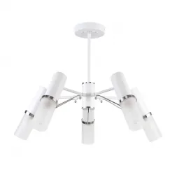 Потолочная люстра F-Promo Viator 2559-5P