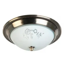 Накладной светильник Toplight Molly TL5020Y-02AB