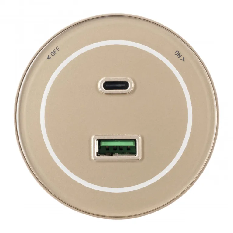 Трековая розетка Arte Milano Am-track-sockets-39 399732TS/USB-Type-C Gold