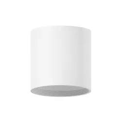 Корпус светильника накладной Ambrella Light DIY Spot C6301