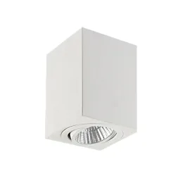 Накладной светильник Elvan NLS-239SQ-GU10-WW-WH
