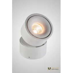 Накладной спот AM Group AM160 WH