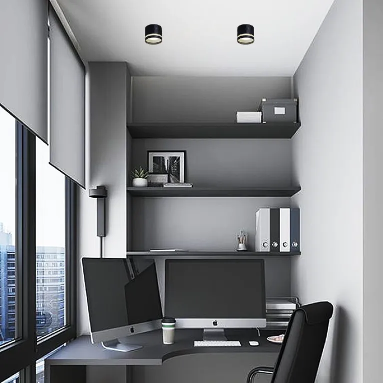 Накладной светильник Reluce 53002-9.5-001LD GX53 BK