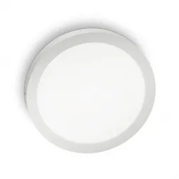 Настенно-потолочный светодиодный светильник Ideal Lux Universal D30 Round