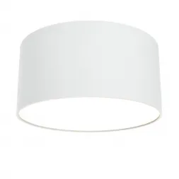 Потолочный светодиодный светильник Maytoni Technical Zon C032CL-L12W3K
