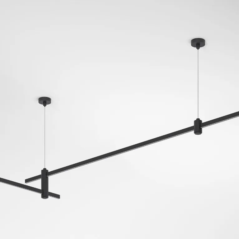 Набор для подвеса Elektrostandard Esthetic Magnetic 4690389202339 85155/00 a065439