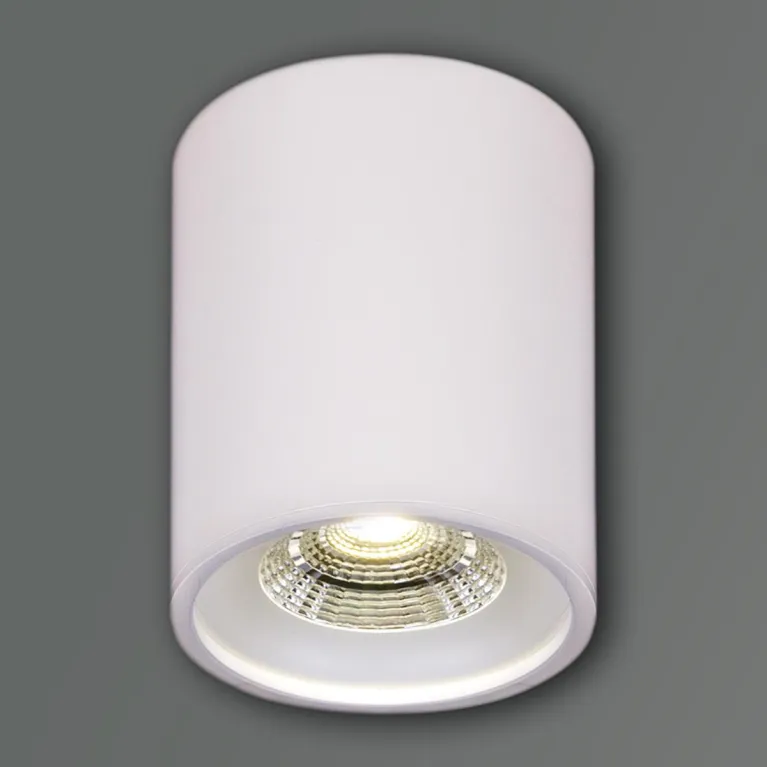 Накладной светильник Reluce 81117-9.5-001RT LED10W WT