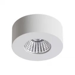 Потолочный светодиодный светильник Odeon Light Bene 4282/7СL