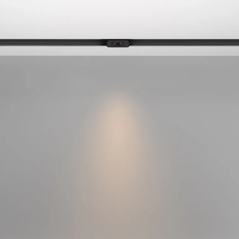 Трековый магнитный светильник Maytoni Points S TR100-2-2W3K-S-B