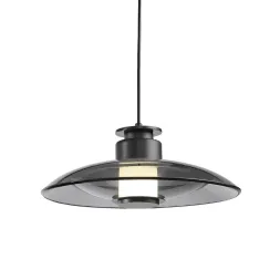 Подвесной светильник Delight Collection 8665P/L black/smoky