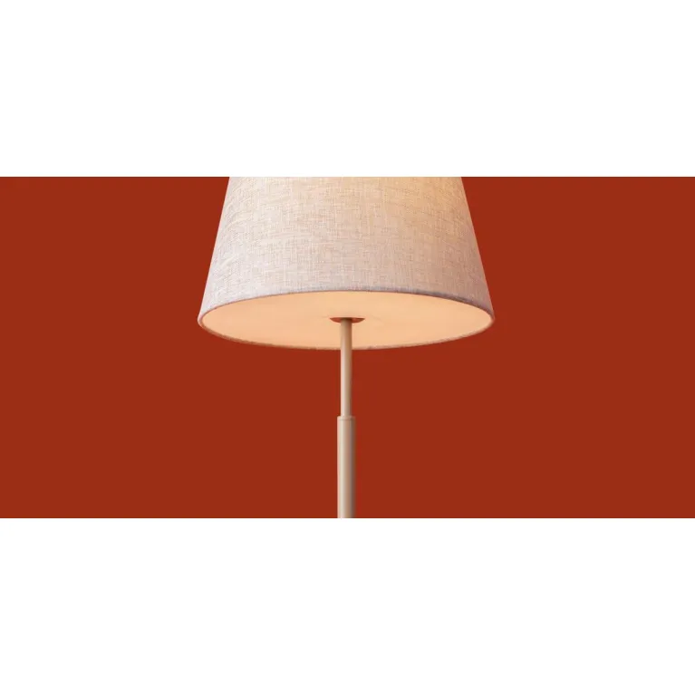 Настольная лампа Freya Butler FR2057TL-01BG