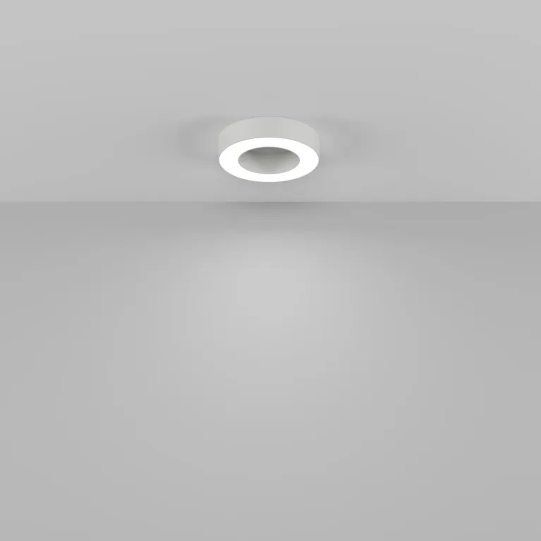 Потолочный светильник Maytoni Technical Lua C093CL-24W4K-W